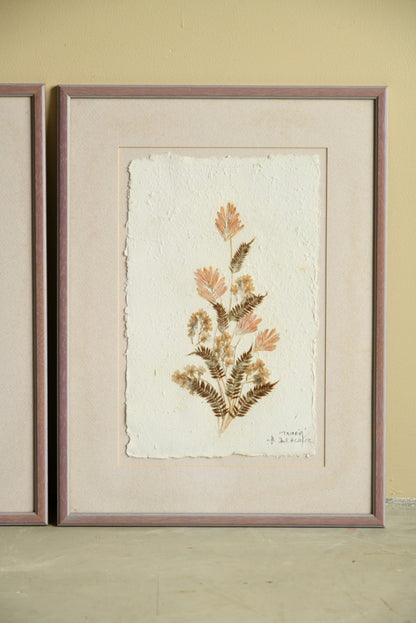 Framed Pressed Flowers