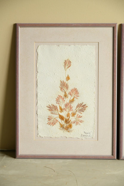 Framed Pressed Flowers