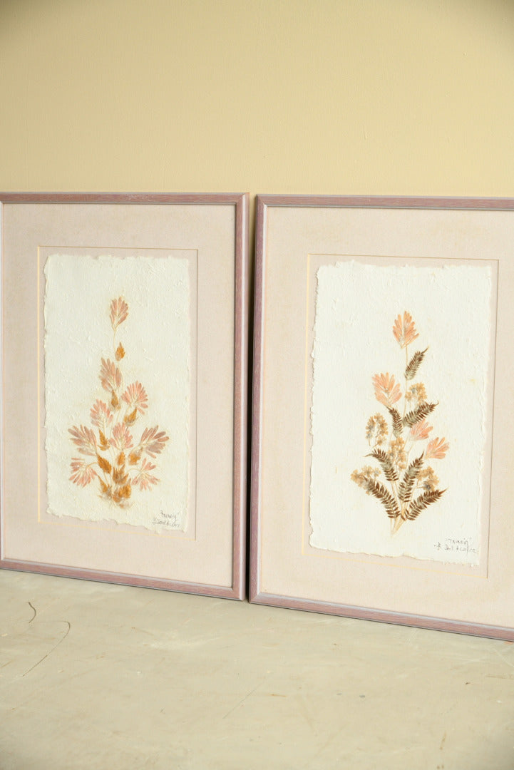 Framed Pressed Flowers