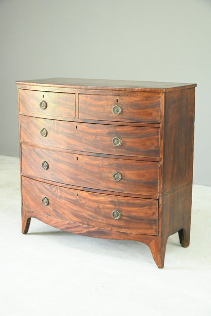 Antique Mahogany Bow Front Chest of Drawers