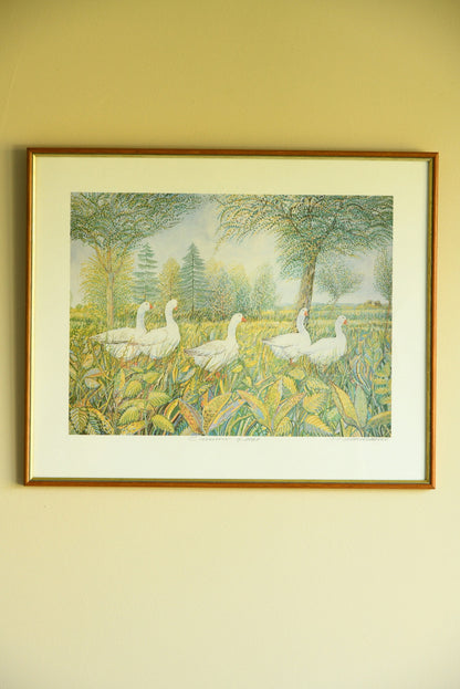 Summer Geese - Framed Print