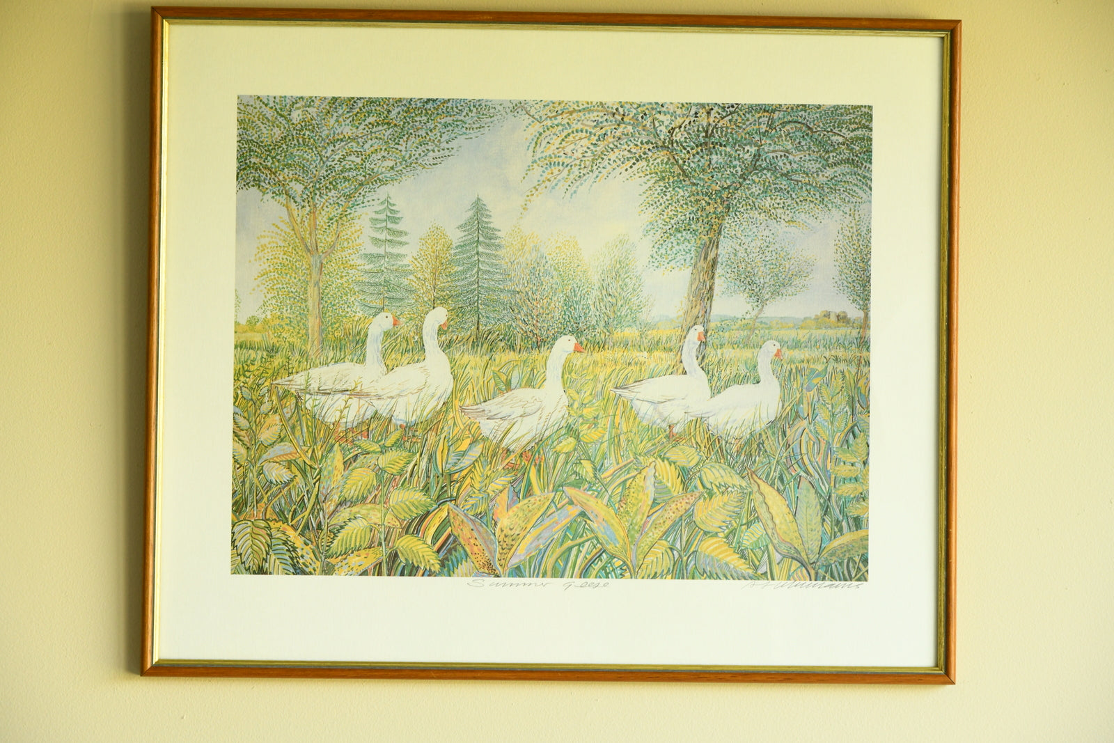 Summer Geese - Framed Print