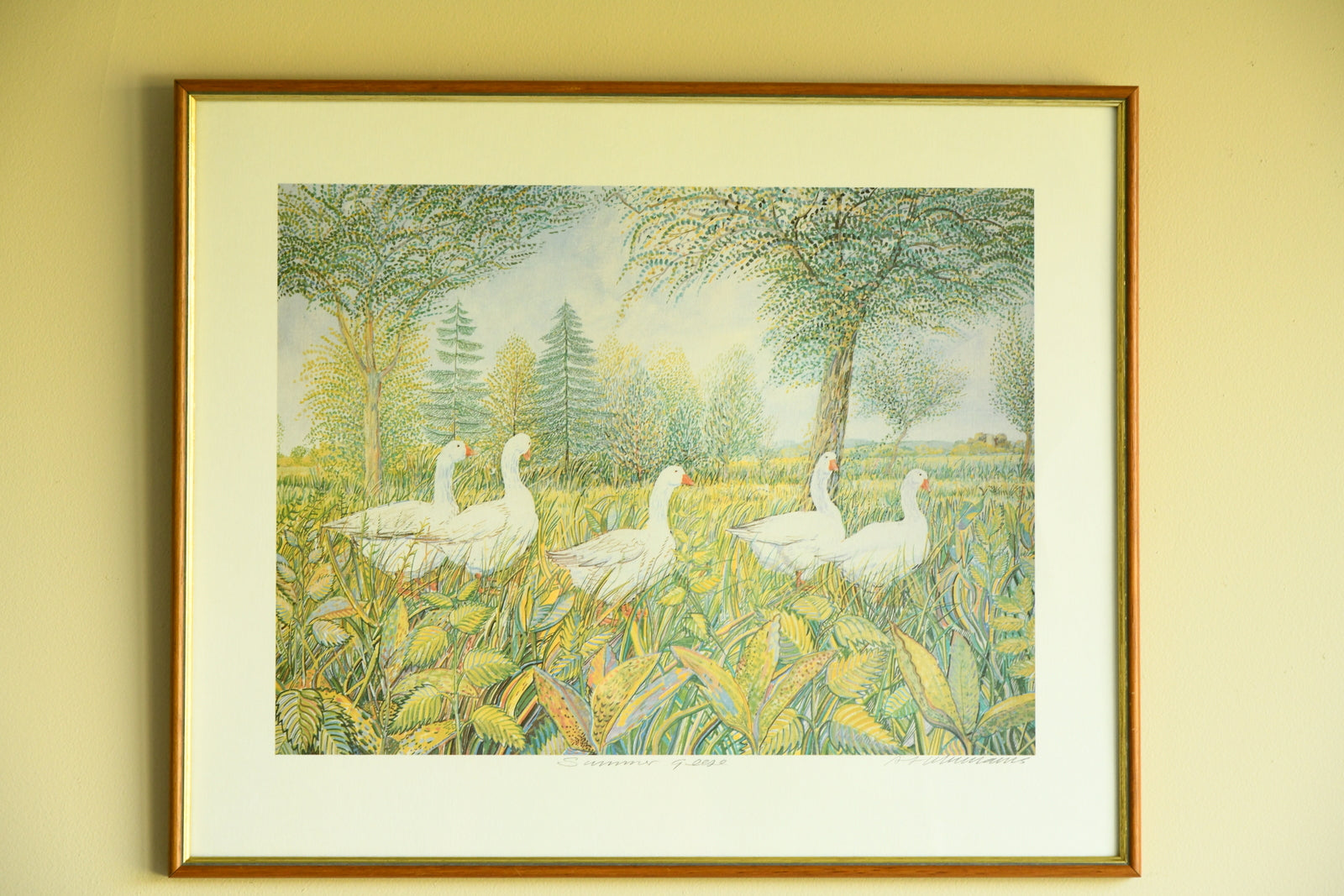 Summer Geese - Framed Print