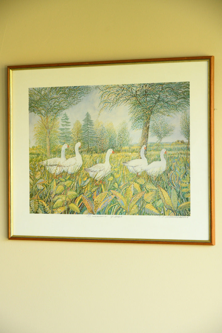 Summer Geese - Framed Print