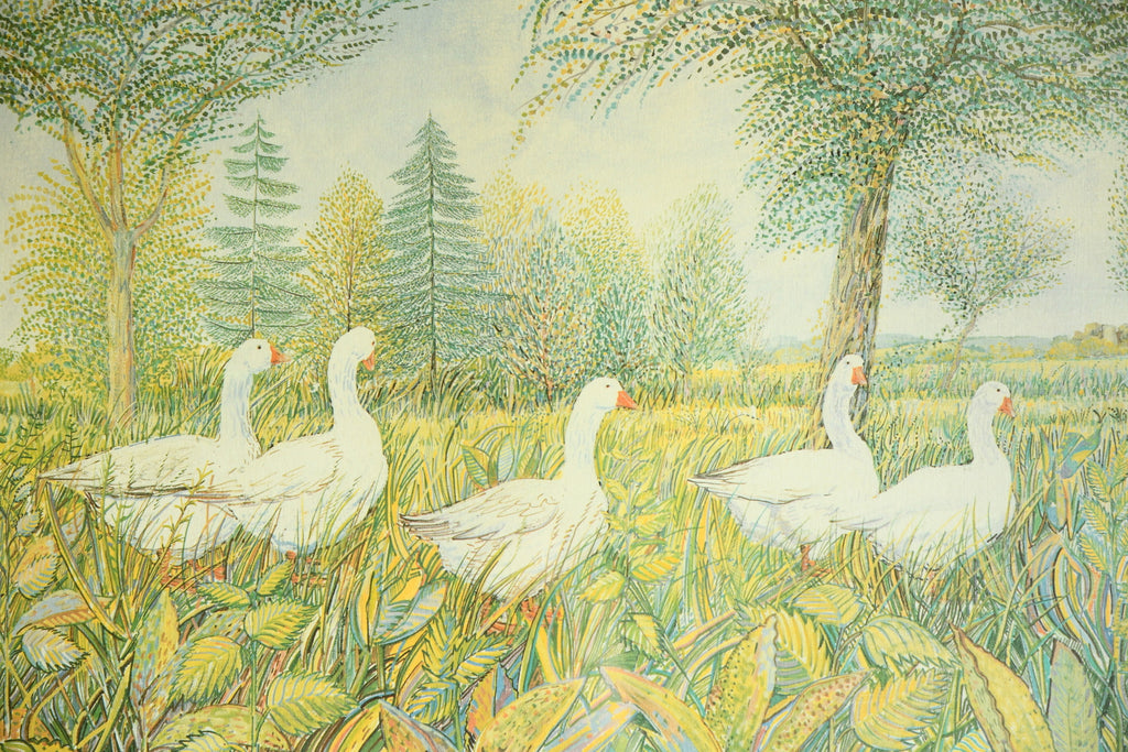 Summer Geese - Framed Print