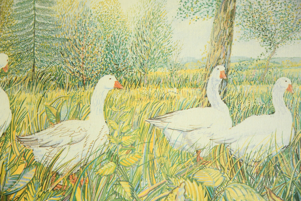 Summer Geese - Framed Print