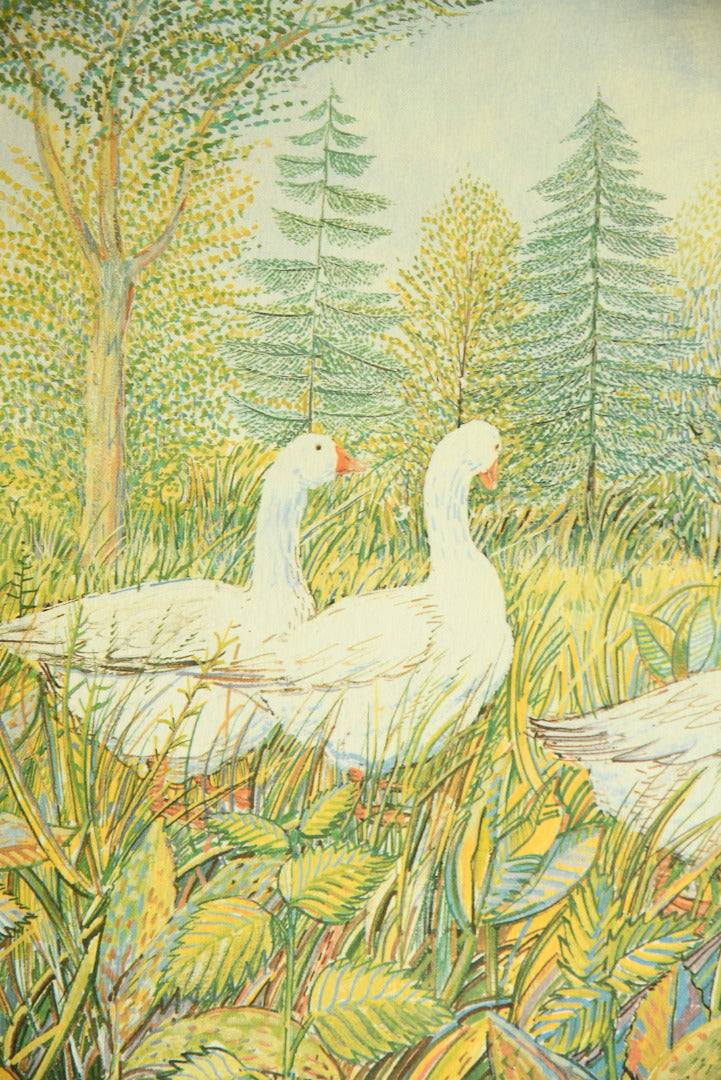 Summer Geese - Framed Print