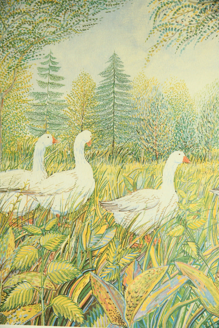 Summer Geese - Framed Print