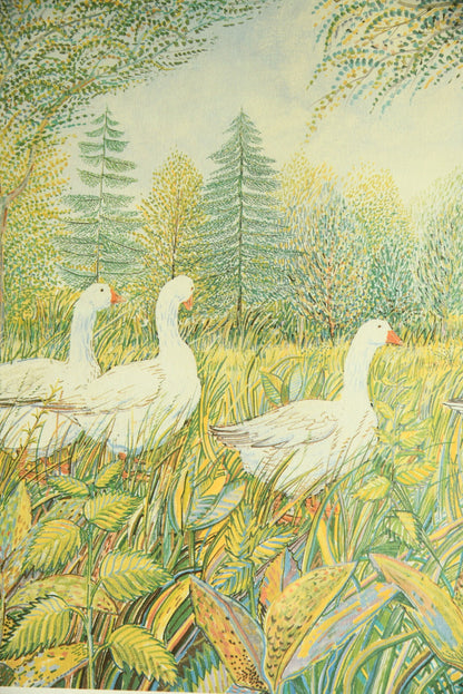 Summer Geese - Framed Print