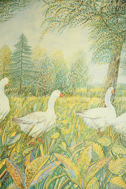 Summer Geese - Framed Print