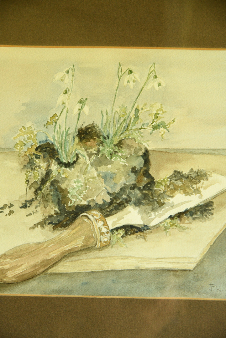 Snowdrops Still Life Watercolour