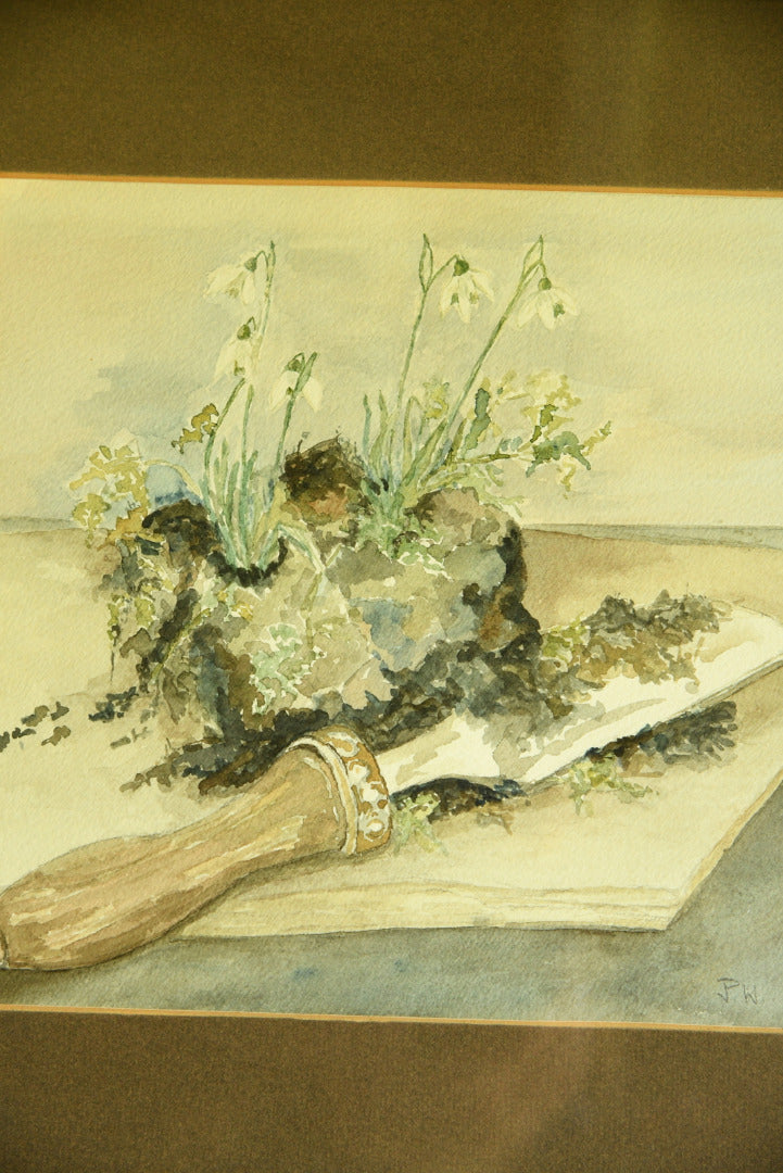 Snowdrops Still Life Watercolour