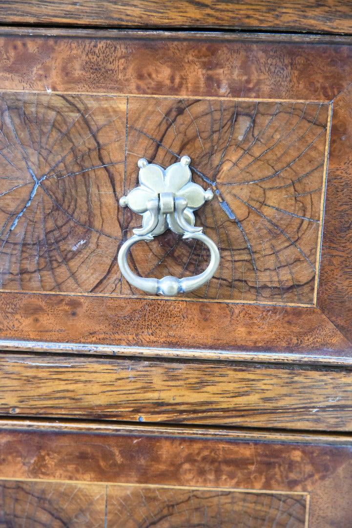 Walnut Oyster Chest of Drawers