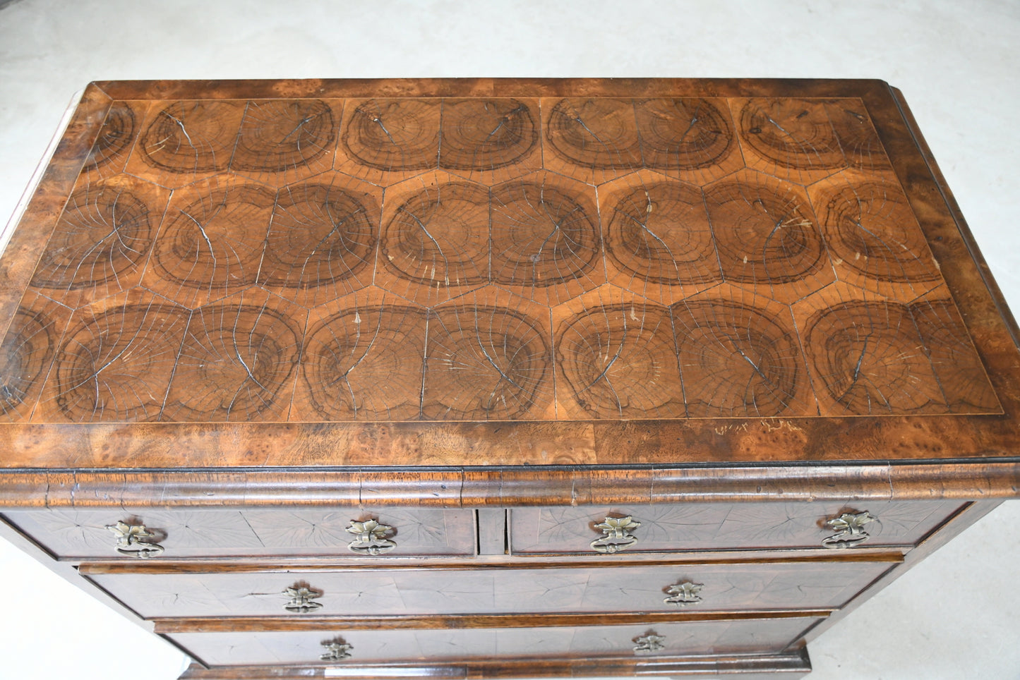 Walnut Oyster Chest of Drawers