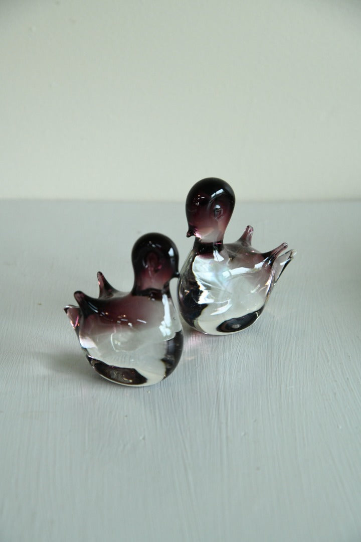 Pair Glass Bird Paperweight