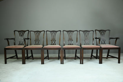 Set 6 Chippendale Dining Chairs