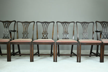 Set 6 Chippendale Dining Chairs