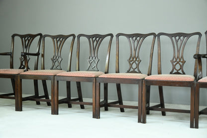 Set 6 Chippendale Dining Chairs