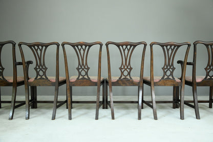 Set 6 Chippendale Dining Chairs