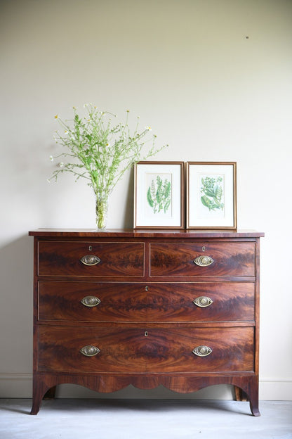 19th Century Mahogany Bow Front Chest of Drawers