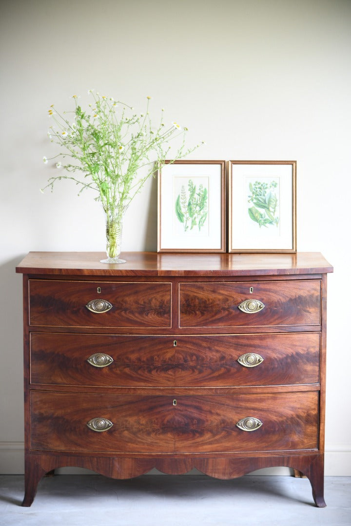 19th Century Mahogany Bow Front Chest of Drawers