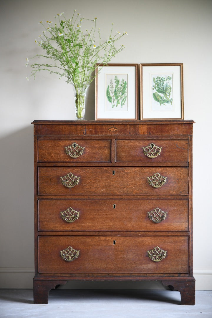 Georgian Oak Chest of Drawers