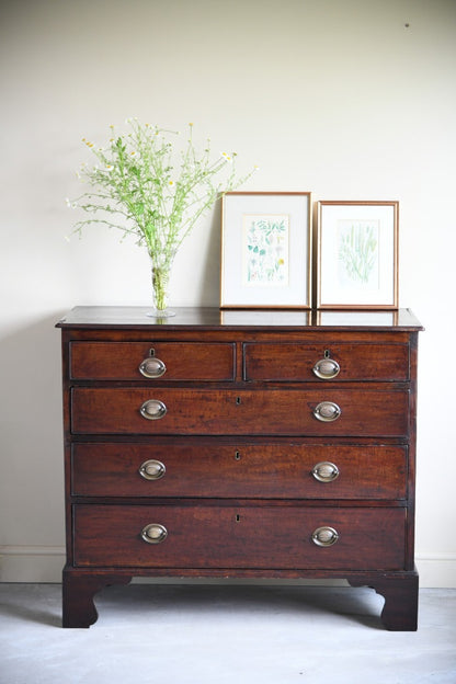 19th Century Mahogany Chest of Drawers