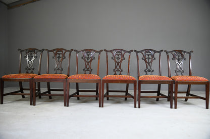 Set 6 20th Century Mahogany Chippendale Style Dining Chairs