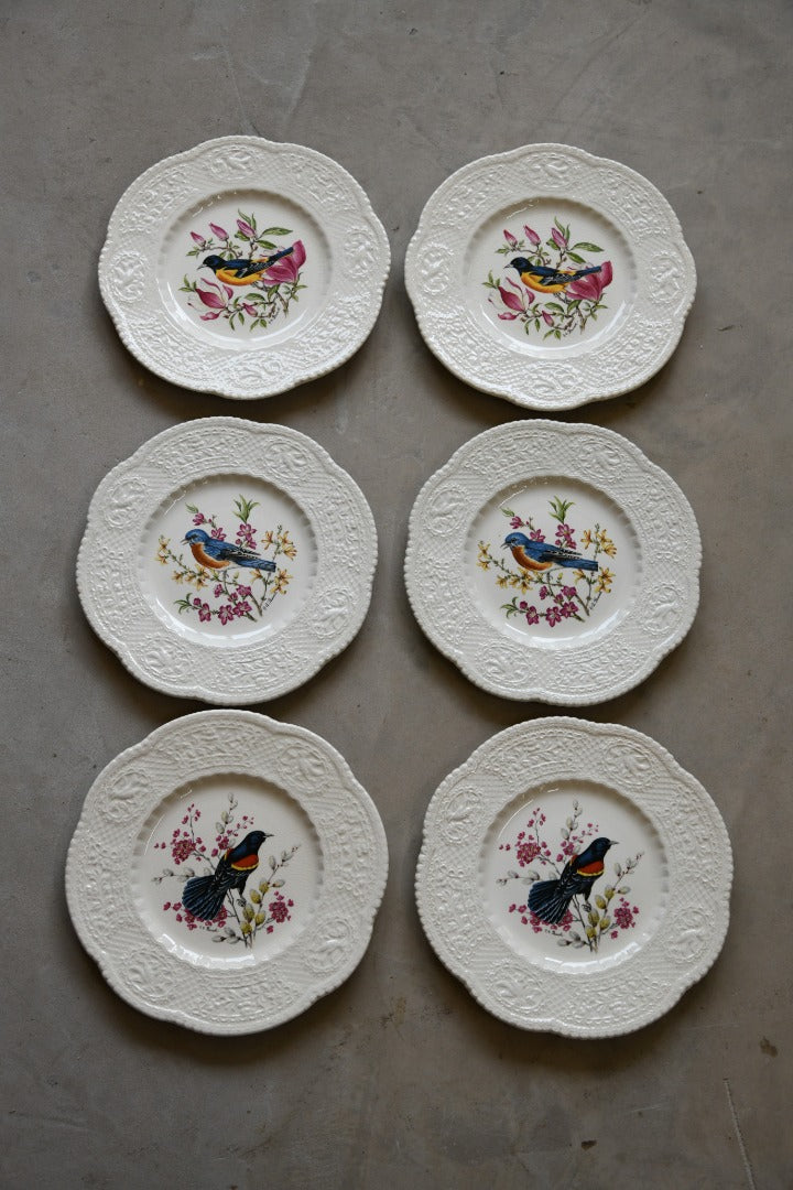 6 Royal Cauldon Bird Plates