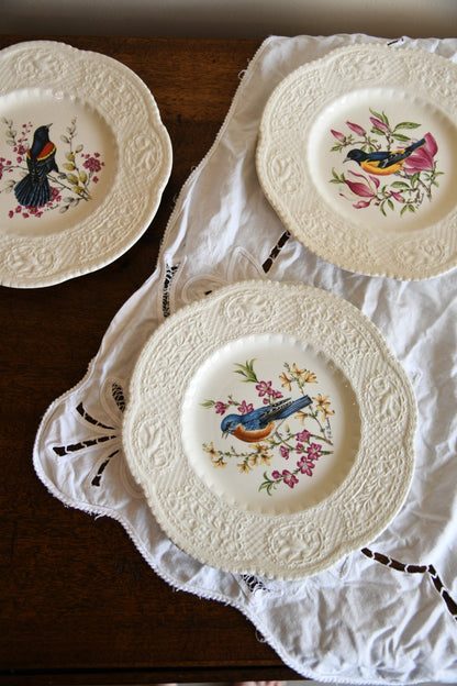 6 Royal Cauldon Bird Plates