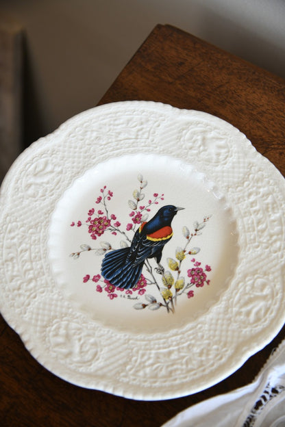 6 Royal Cauldon Bird Plates