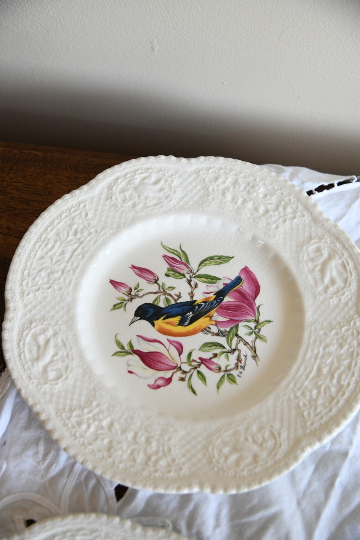 6 Royal Cauldon Bird Plates