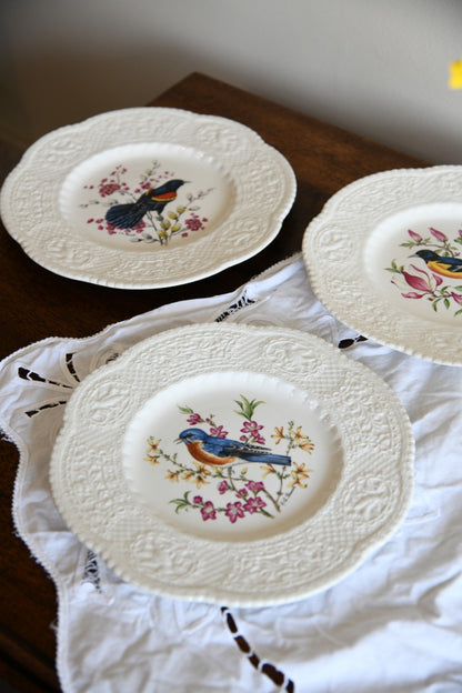 6 Royal Cauldon Bird Plates