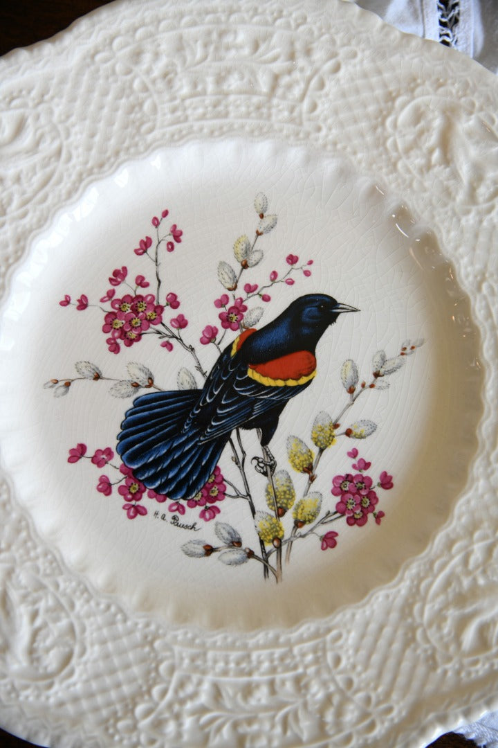 6 Royal Cauldon Bird Plates