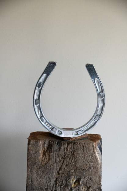 Large Chrome Horseshoe