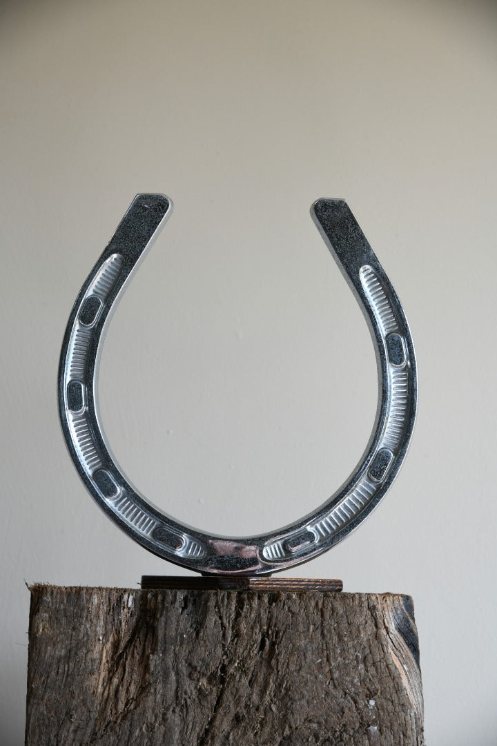 Large Chrome Horseshoe