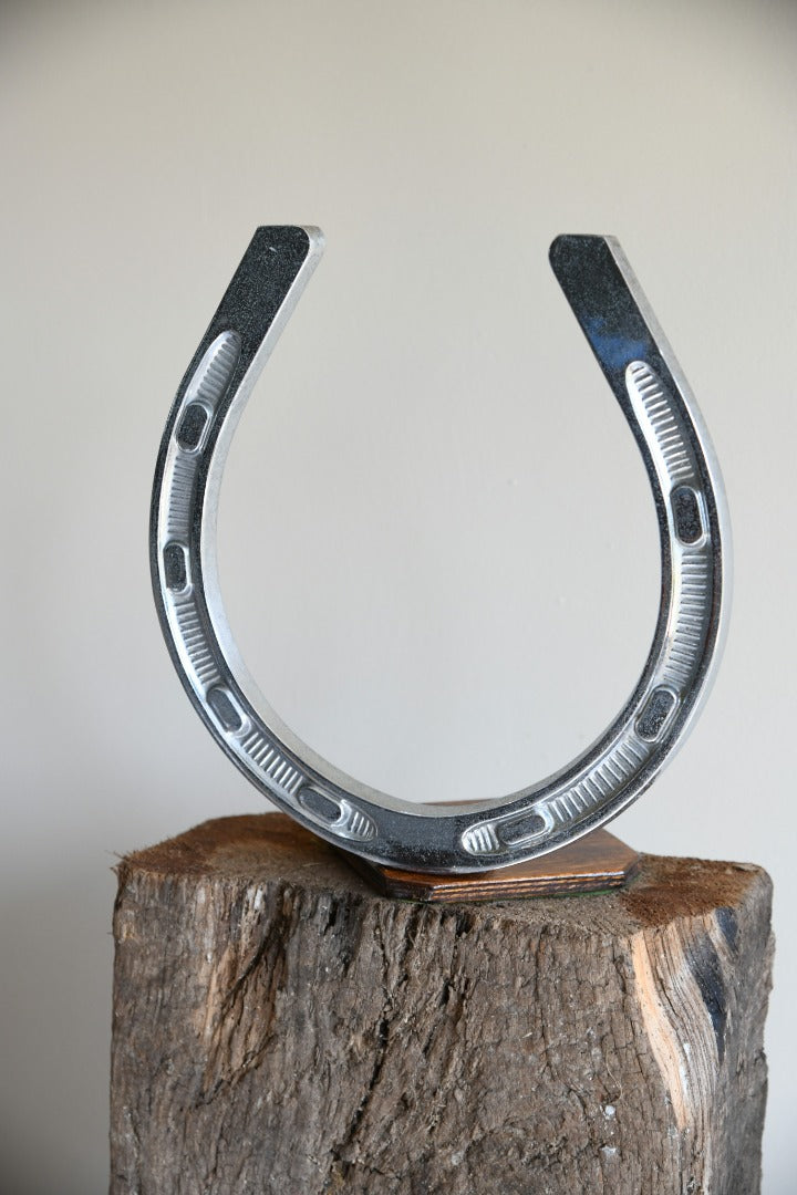 Large Chrome Horseshoe