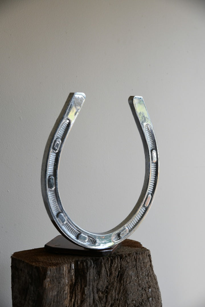 Large Chrome Horseshoe