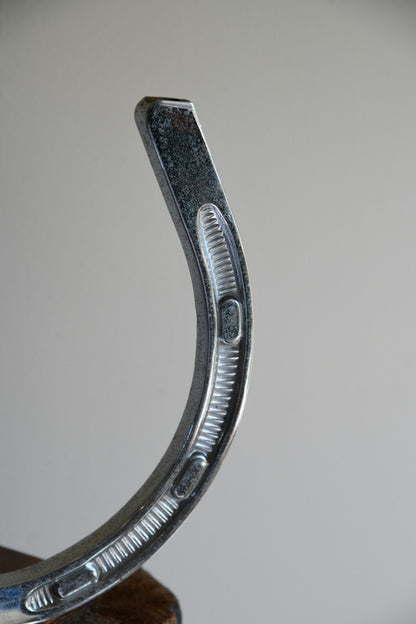 Large Chrome Horseshoe