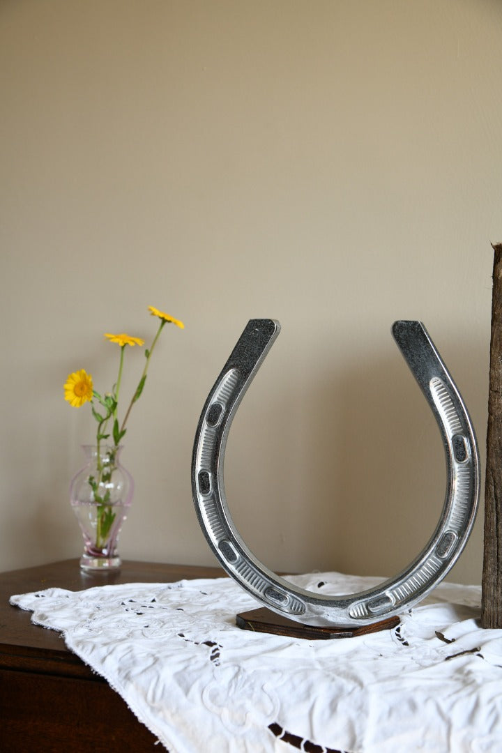 Large Chrome Horseshoe