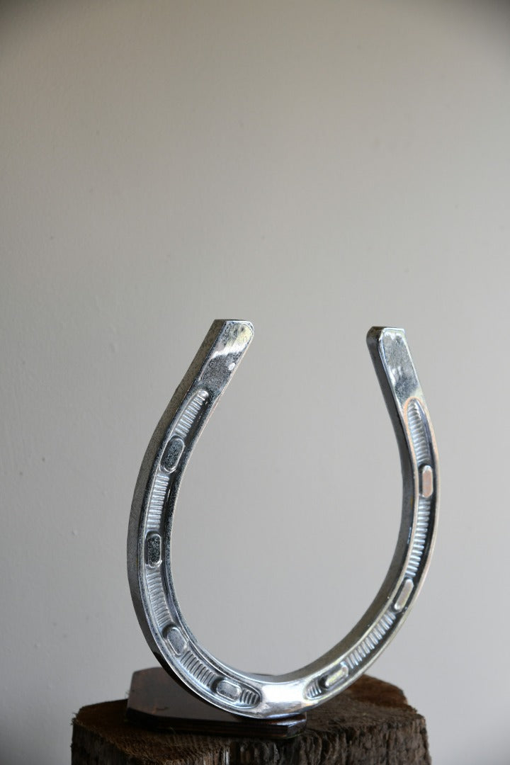 Large Chrome Horseshoe