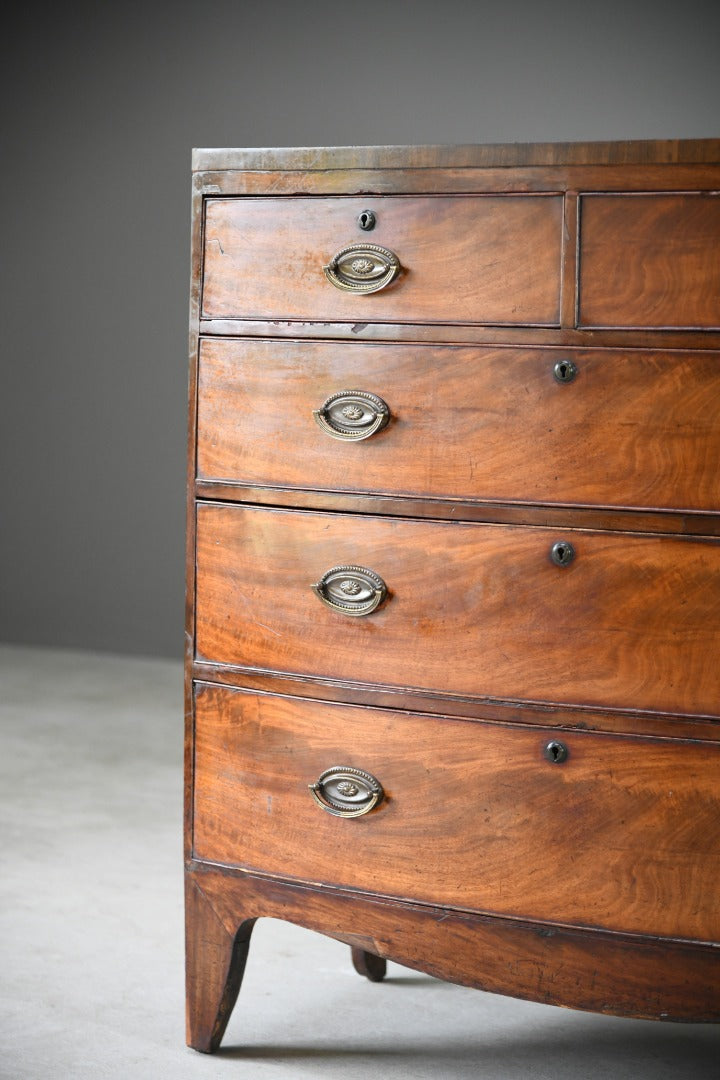 Antique Bow Front Mahogany Chest of Drawers