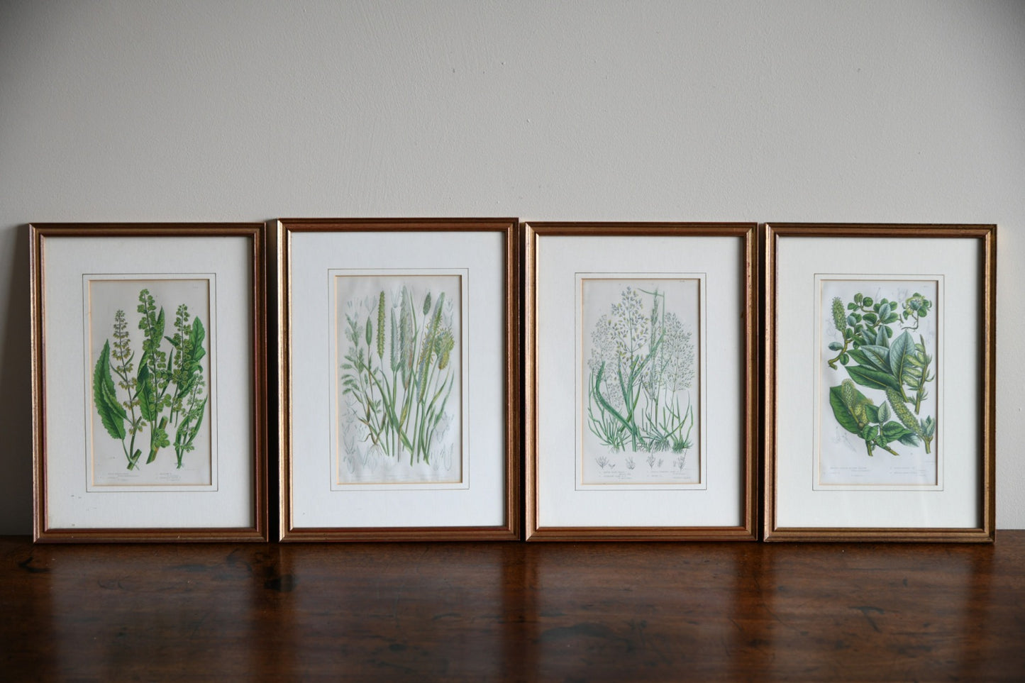 4 Botanical Framed Engravings