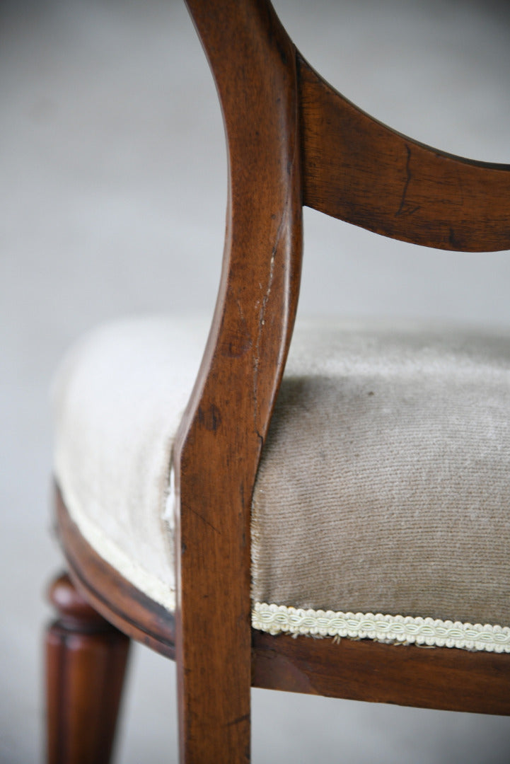 Single Mahogany Balloon Back Dining Chair