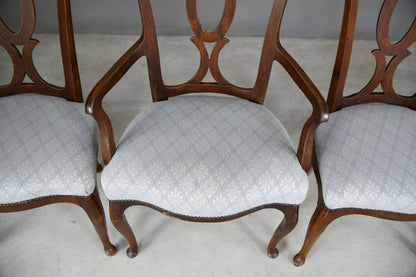 6 + 1 Continental Dining Chairs