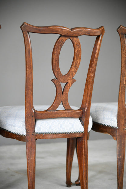 6 + 1 Continental Dining Chairs