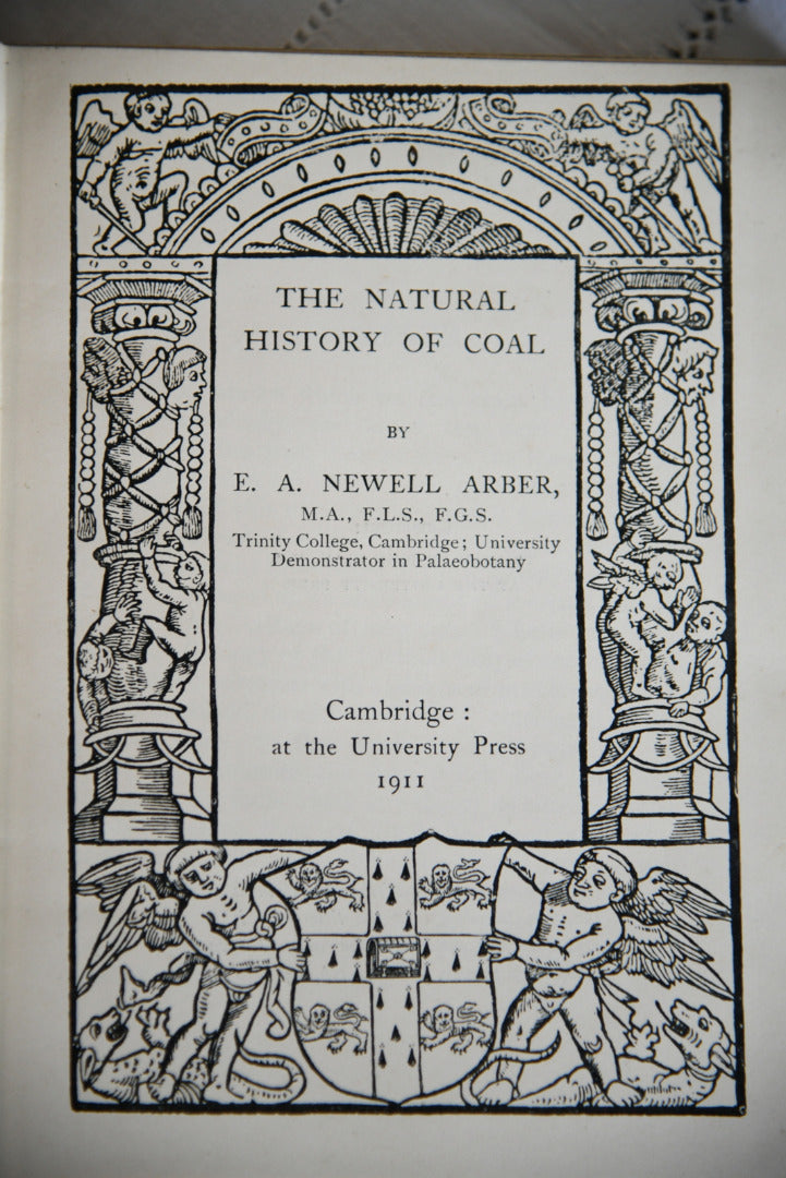 The Natural History of Coal