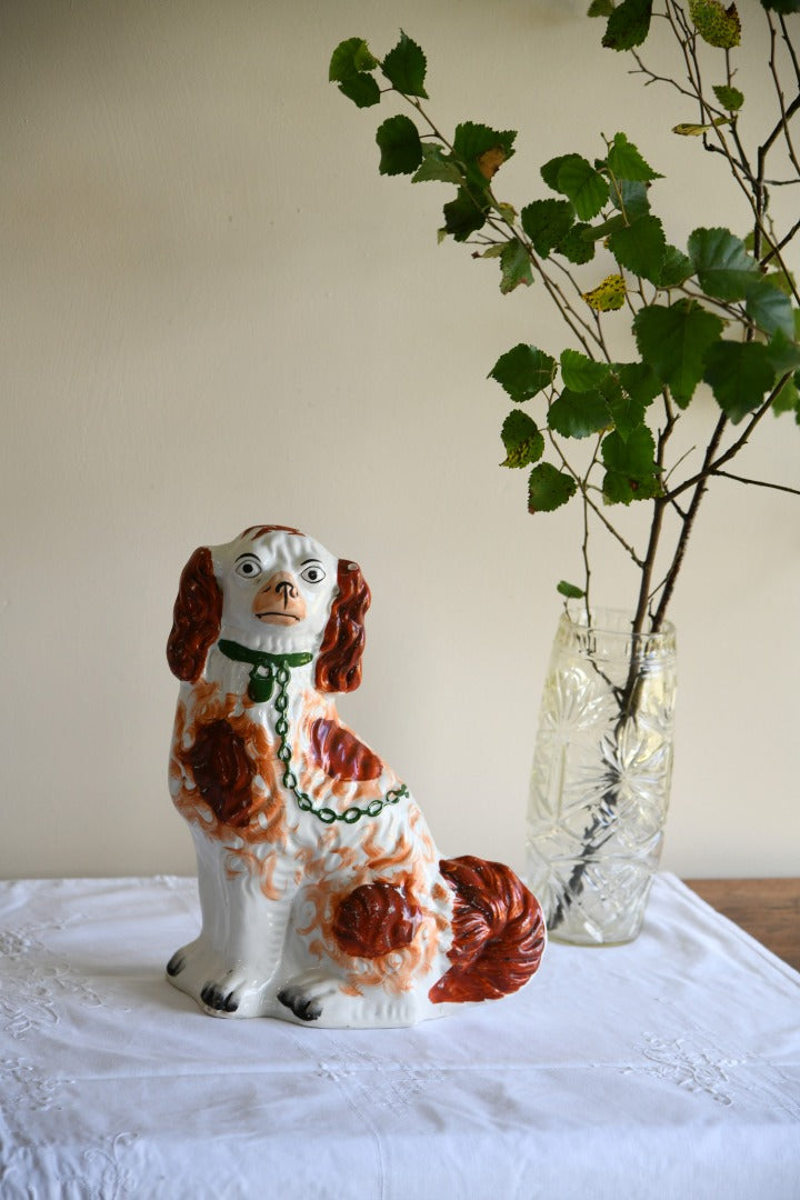 Staffordshire Spaniel Mantle Dog