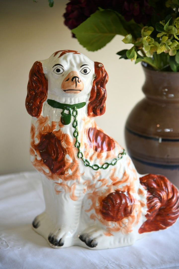 Staffordshire Spaniel Mantle Dog