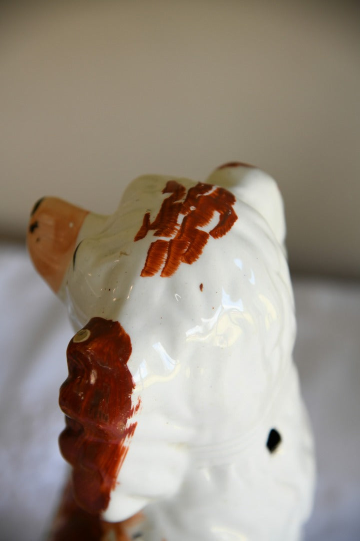 Staffordshire Spaniel Mantle Dog